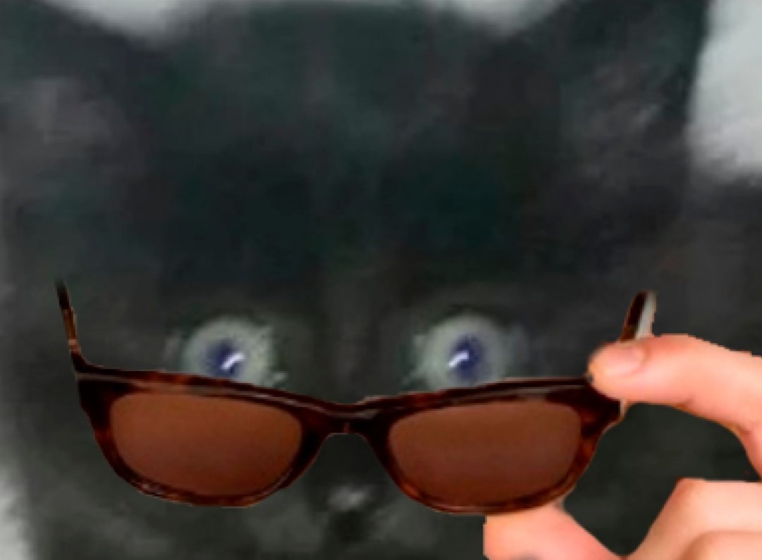 Кот в очках.jpg